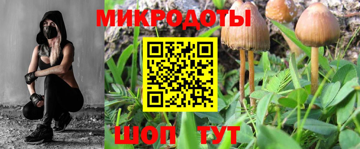 Галлюциногенные грибы Psilocybe  Вход с VPN  Ижевск 